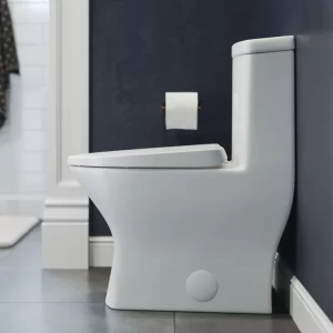 Swiss Madison Sublime II One-Piece Round Toilet Dual-Flush