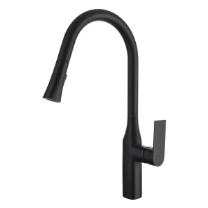 Aqua F23134 - Pull-Down Dual Spray Kitchen Faucet