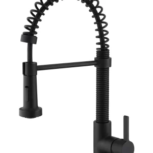 Aqua F25133 - Pull-Down Dual Spray Kitchen Faucet